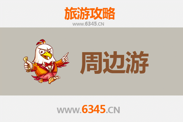 澳门半岛周边游全攻略：历史韵味与市井风情深度体验